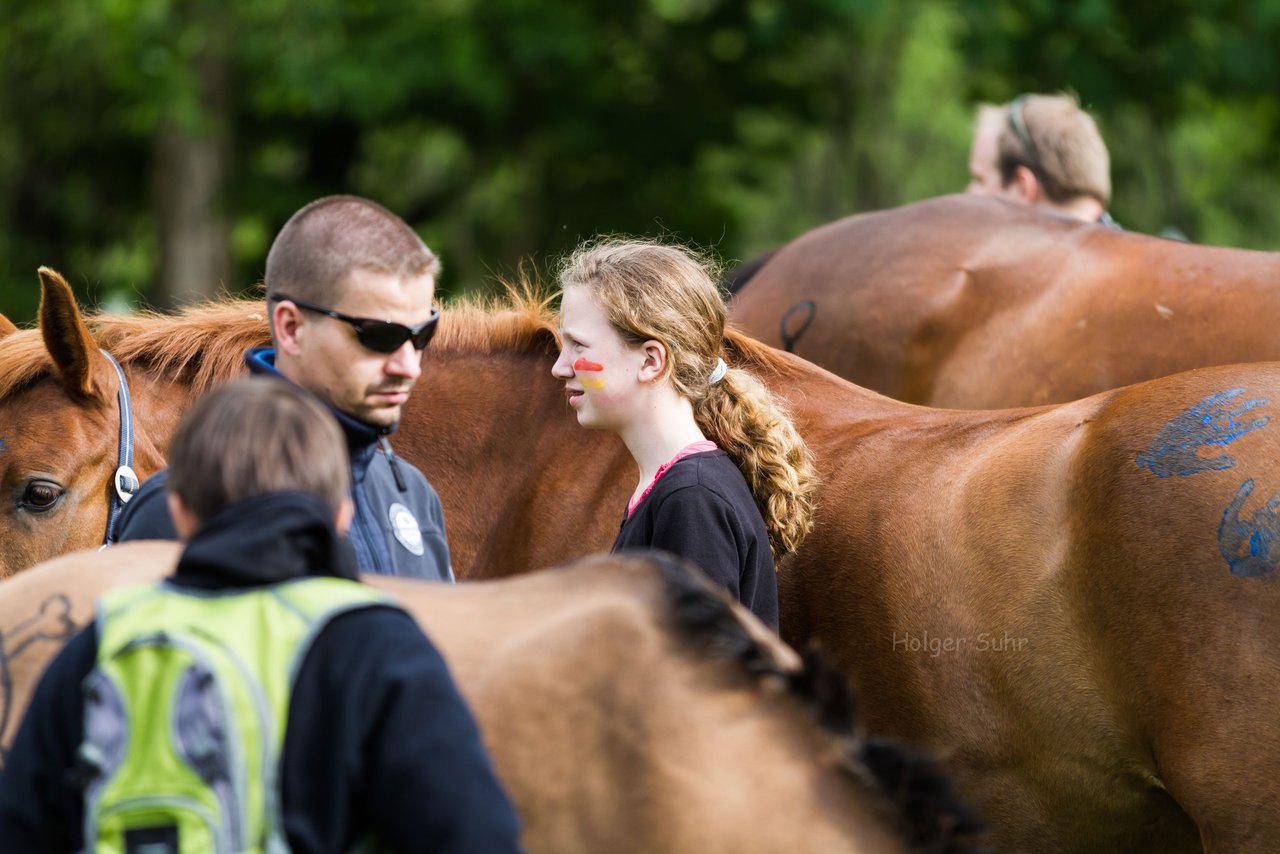 Bild 195 - Reitschule Janen Jubilum